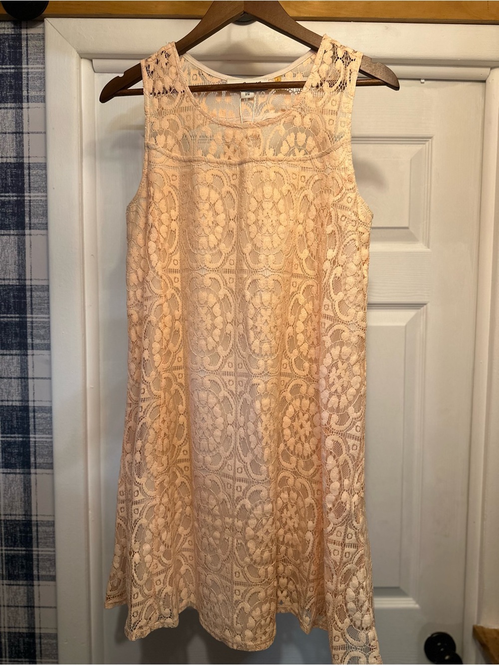 Simply Noelle Sleeveless Lace Mini Dress in Blush
